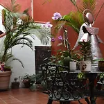 ¡Hermosa Estancia Centro De Oaxaca!