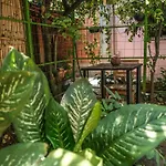 Chill Green Beautiful Downtown Area Tv Good Wifi