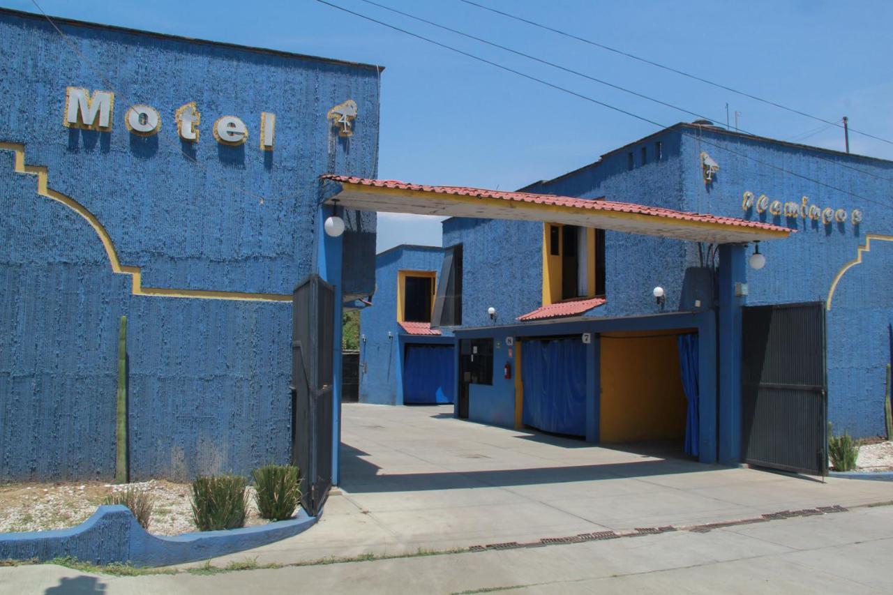 Flamingos Oaxaca