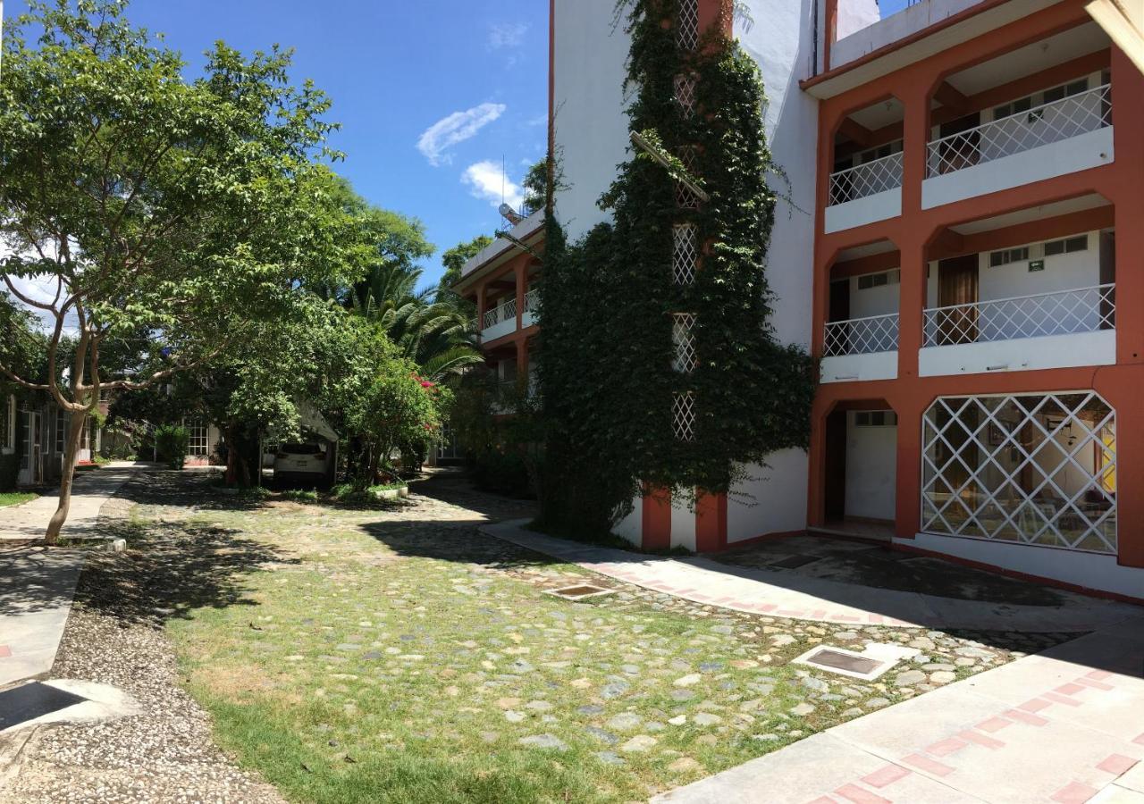 Bugambilias Oaxaca