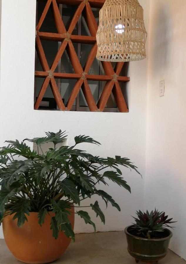 Casa Olivia * Oaxaca