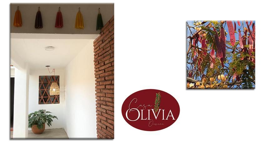 Casa Olivia Hotel