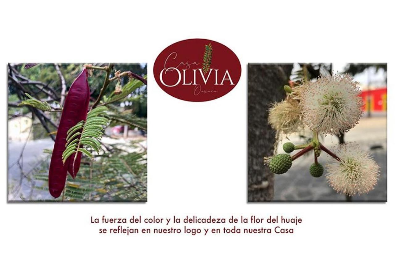 Casa Olivia