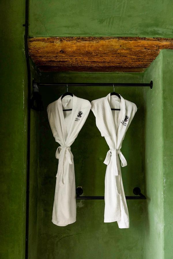Pug Seal Hotel Oaxaca