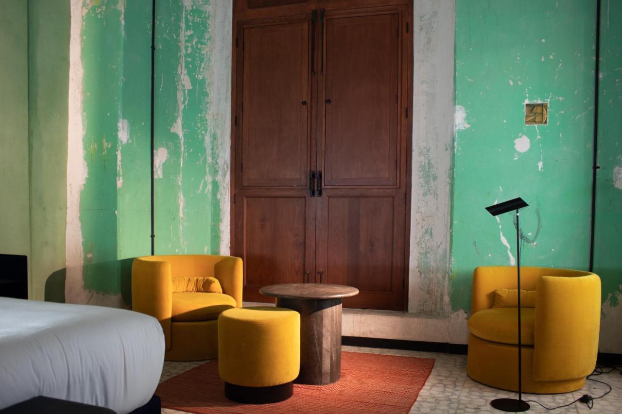 Pug Seal Hotel Oaxaca
