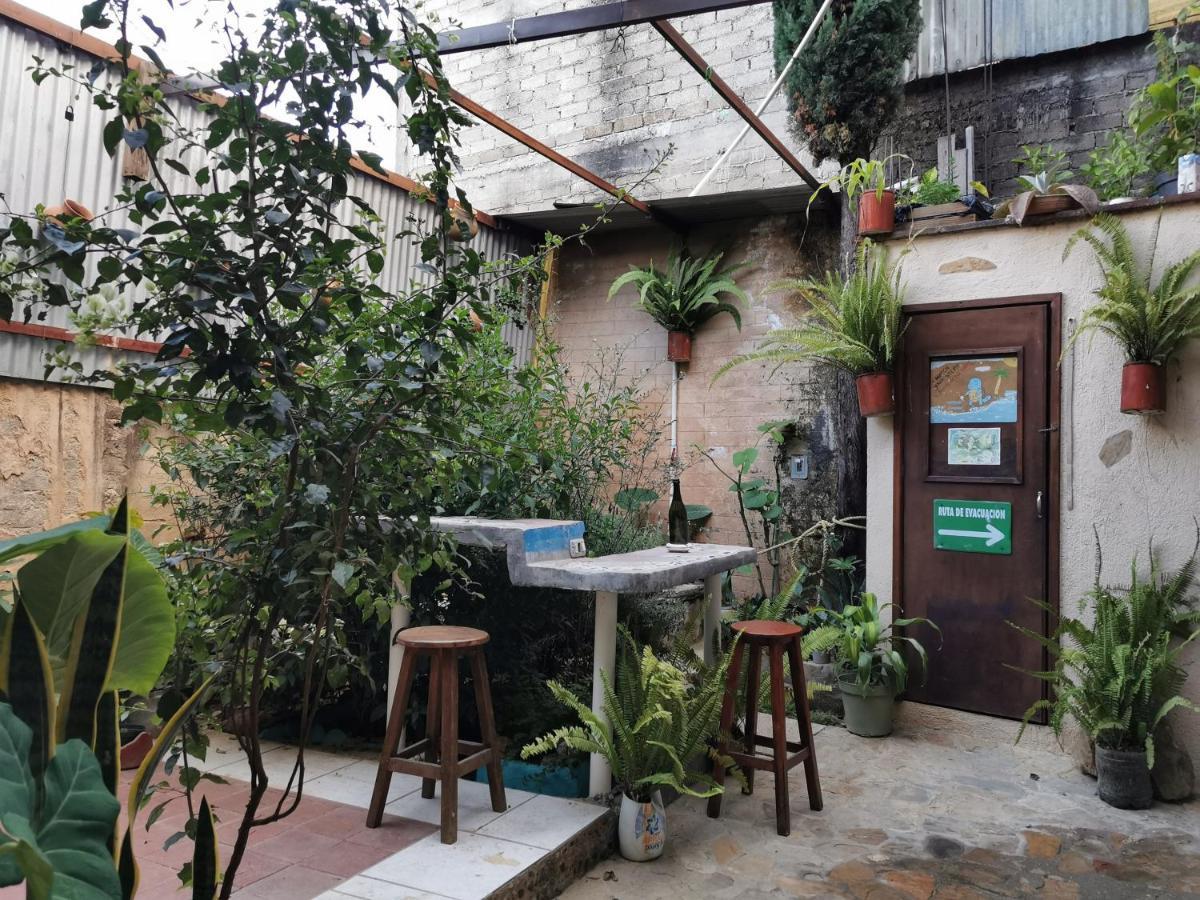 Guest house Casa Donaji *
