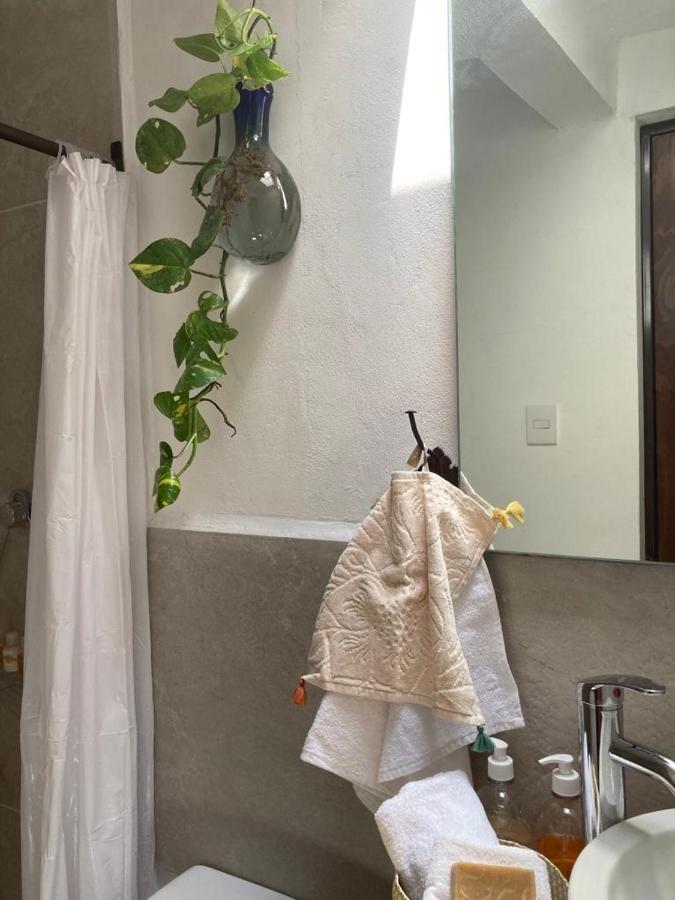 Hotel Casa Olivia *