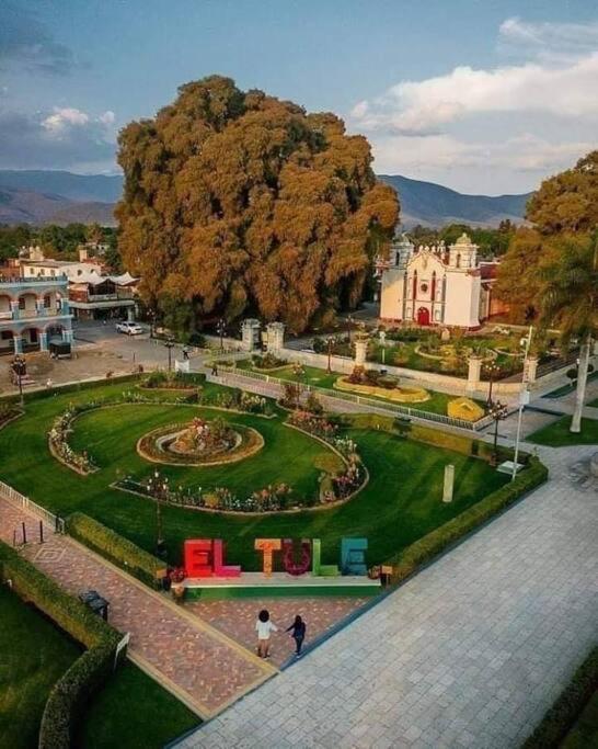 Juub More Impossible * Oaxaca
