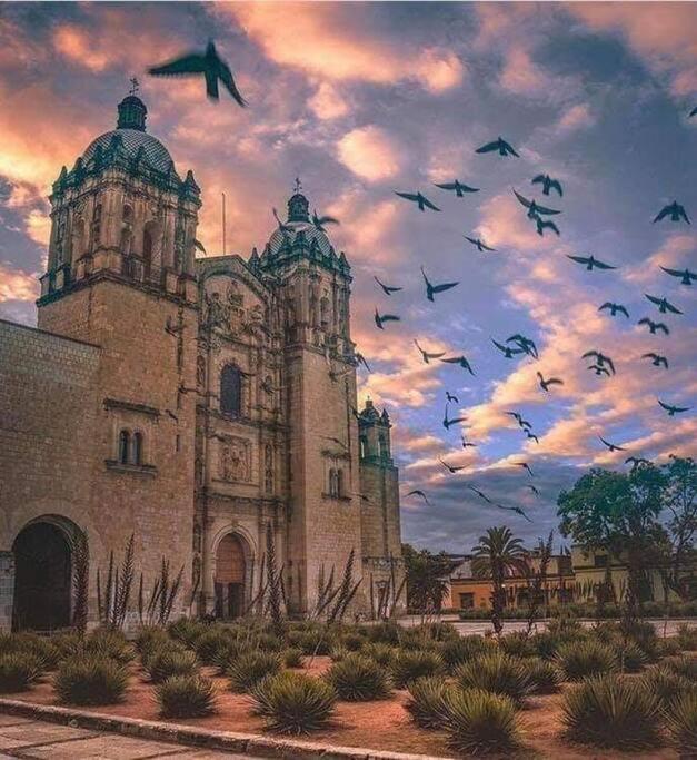 Juub More Impossible Oaxaca