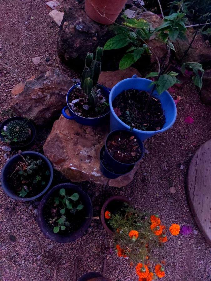 Casa La Penita * Oaxaca