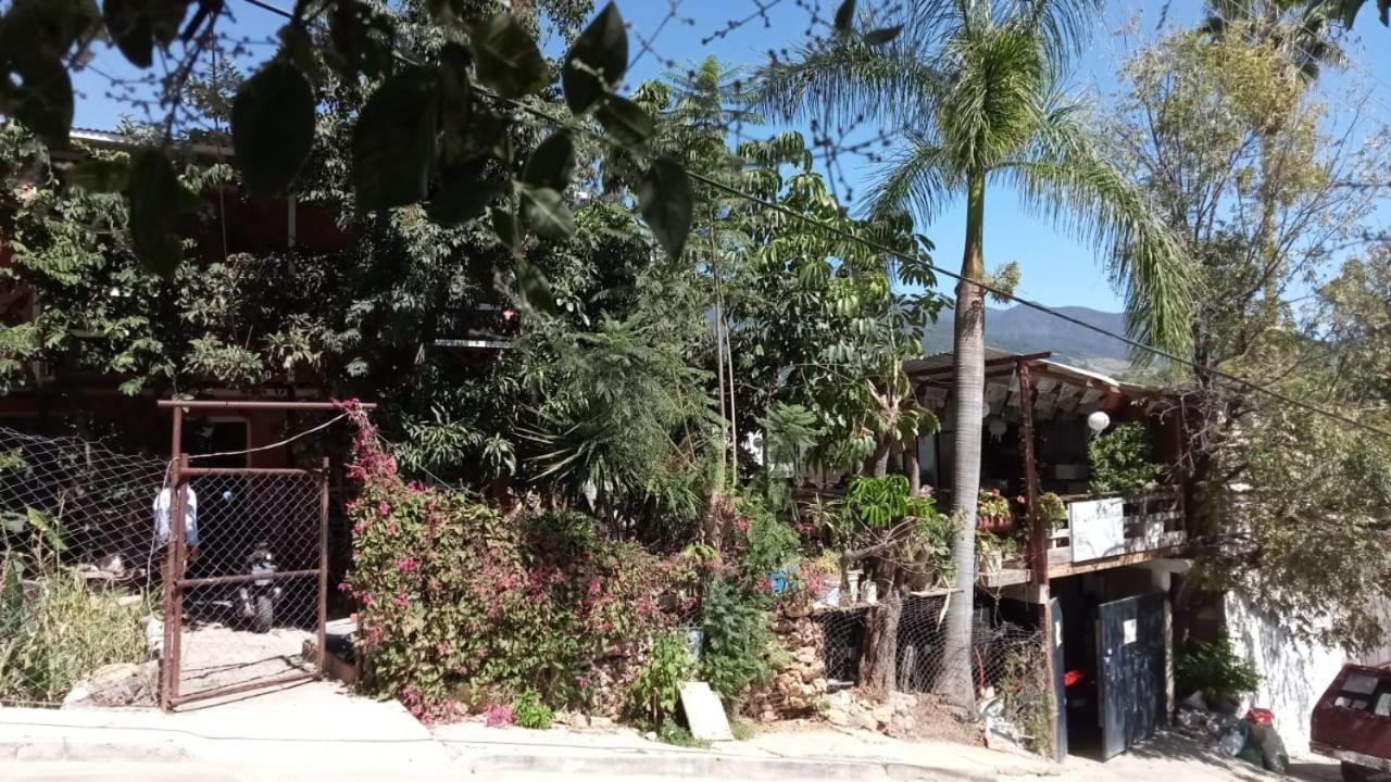La Casa Del Nenufar Inn 2*
