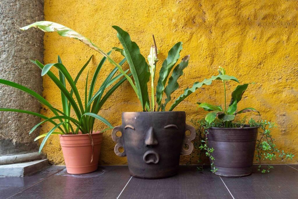Сasa de vacaciones Hermosa Casa En El Centro De Oaxaca