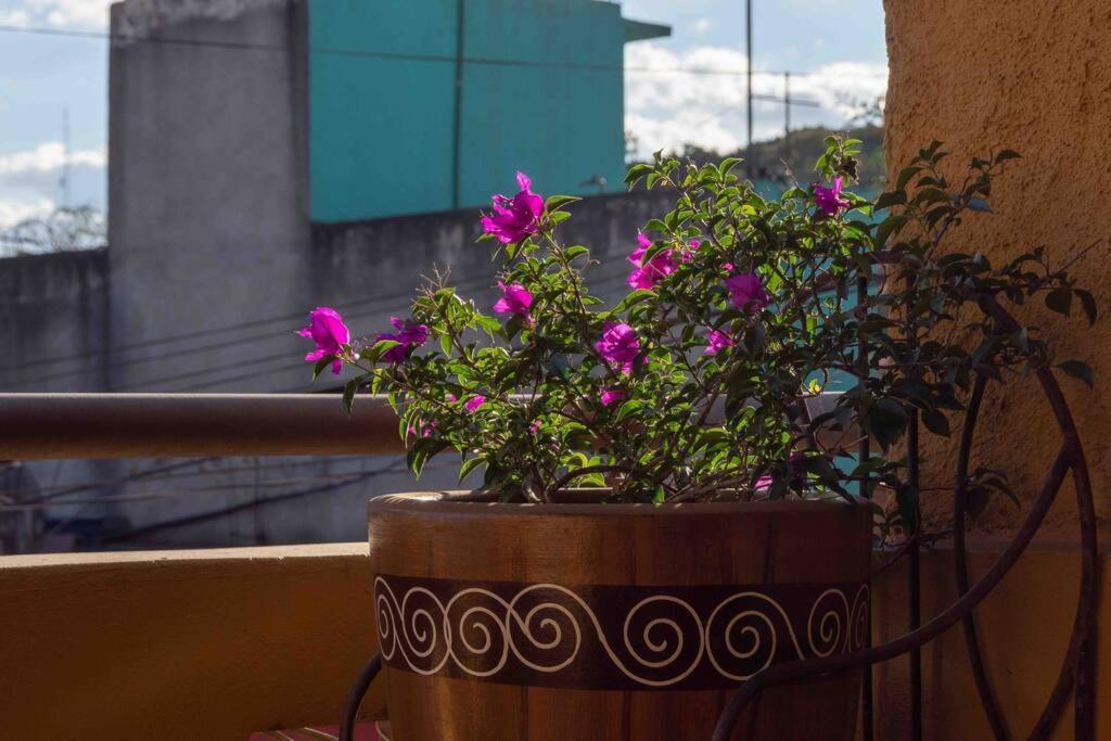 Сasa de vacaciones Hermosa Casa En El Centro De *