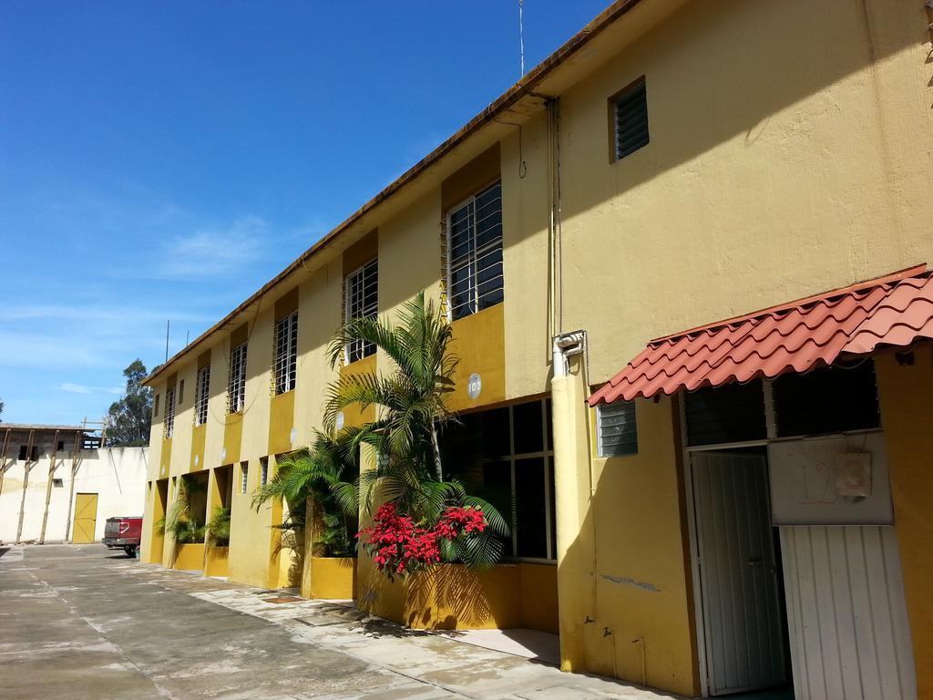 Gams Oaxaca