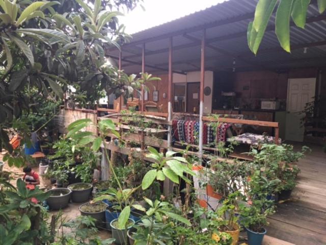 La Casa Del Nenufar Inn 2*