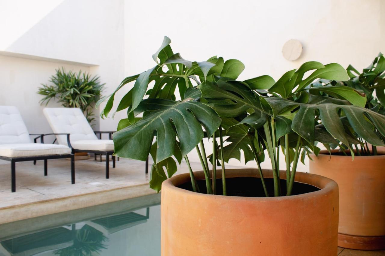 Casa Nova Centro - Adults Only
