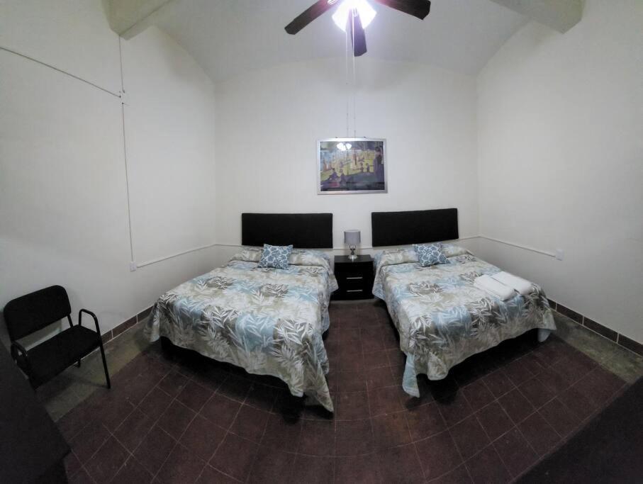 Departamento Arista Oaxaca