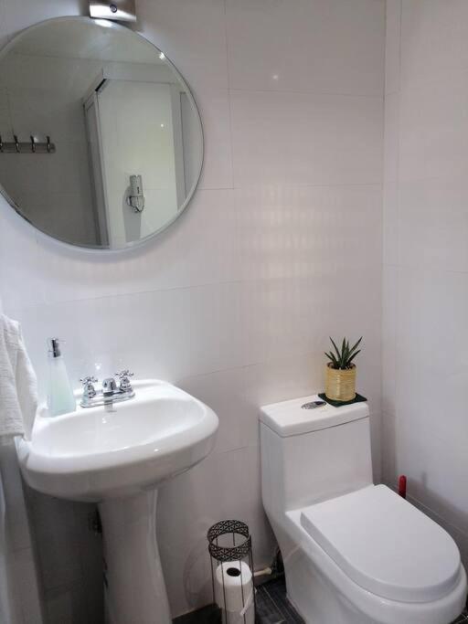 Apartamento Departamento Mariposas Oaxaca