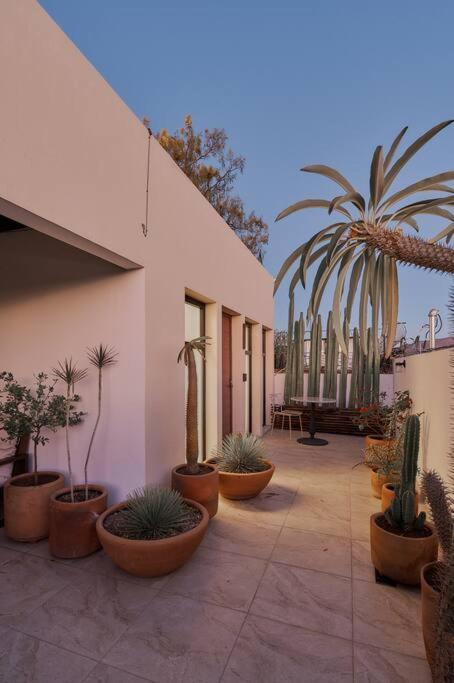 Apartment Centrico Live