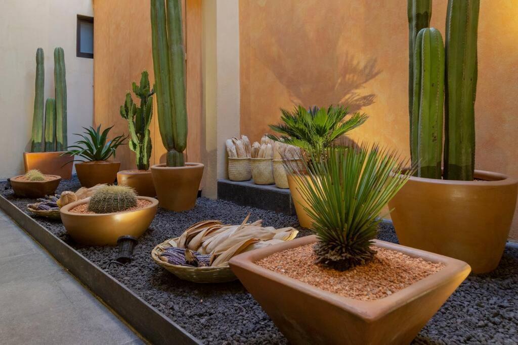 Villa Casa Rufina Centro - Adults Only Oaxaca