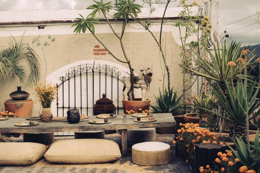 Architectural House In De Juarez