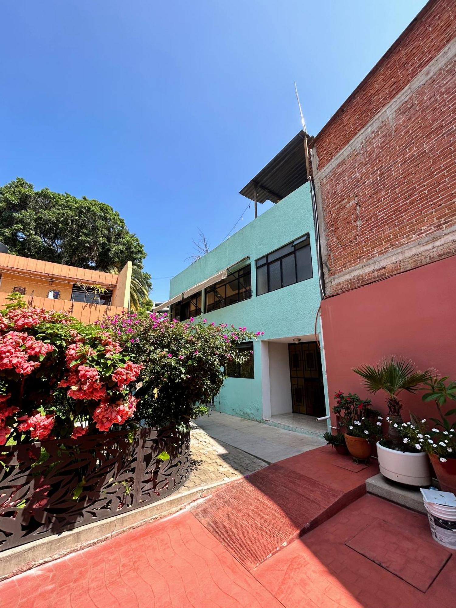 Casa De Palmas