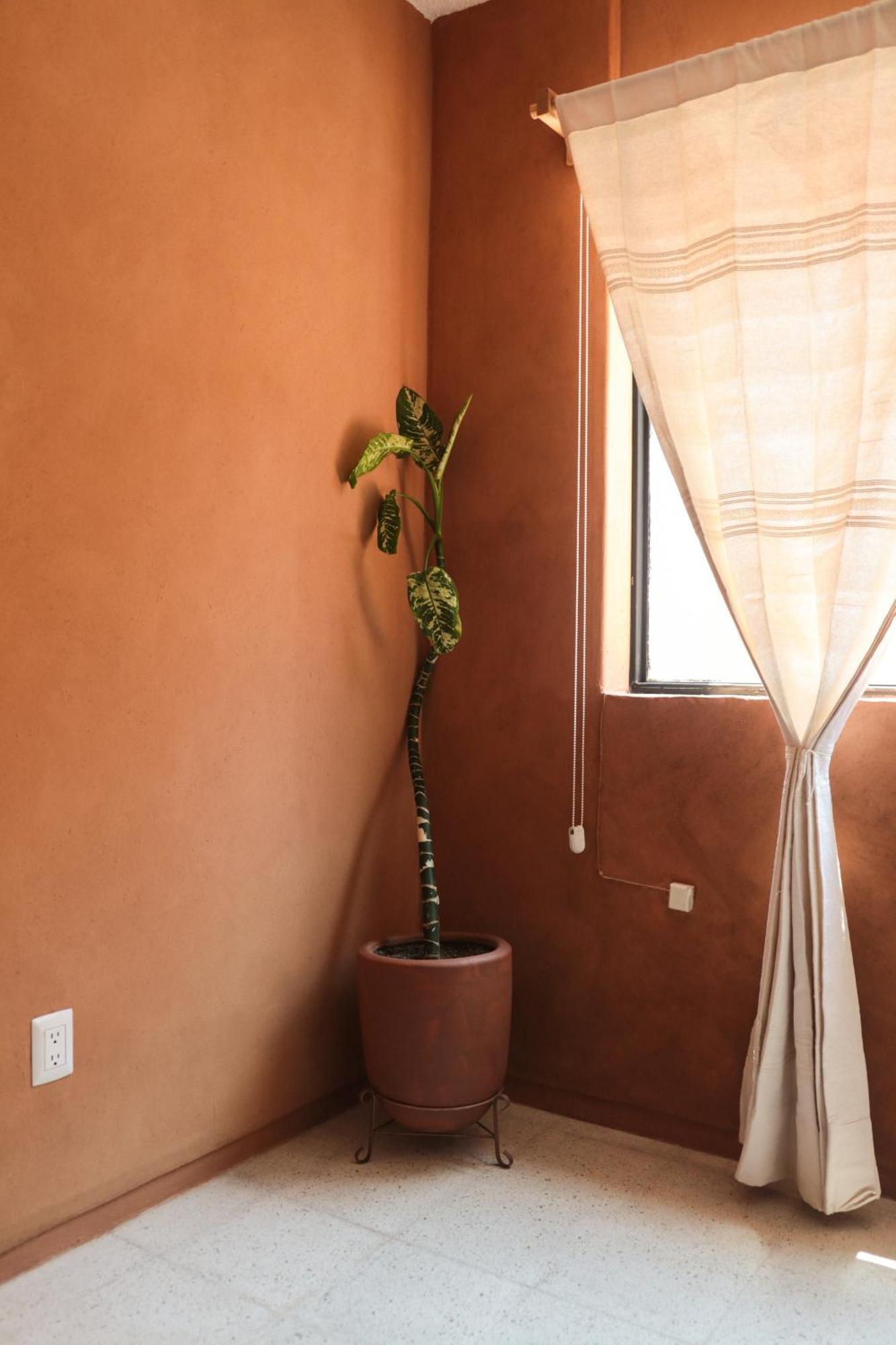 Casa Pina Close To Santo Domingo Church Holiday home Oaxaca