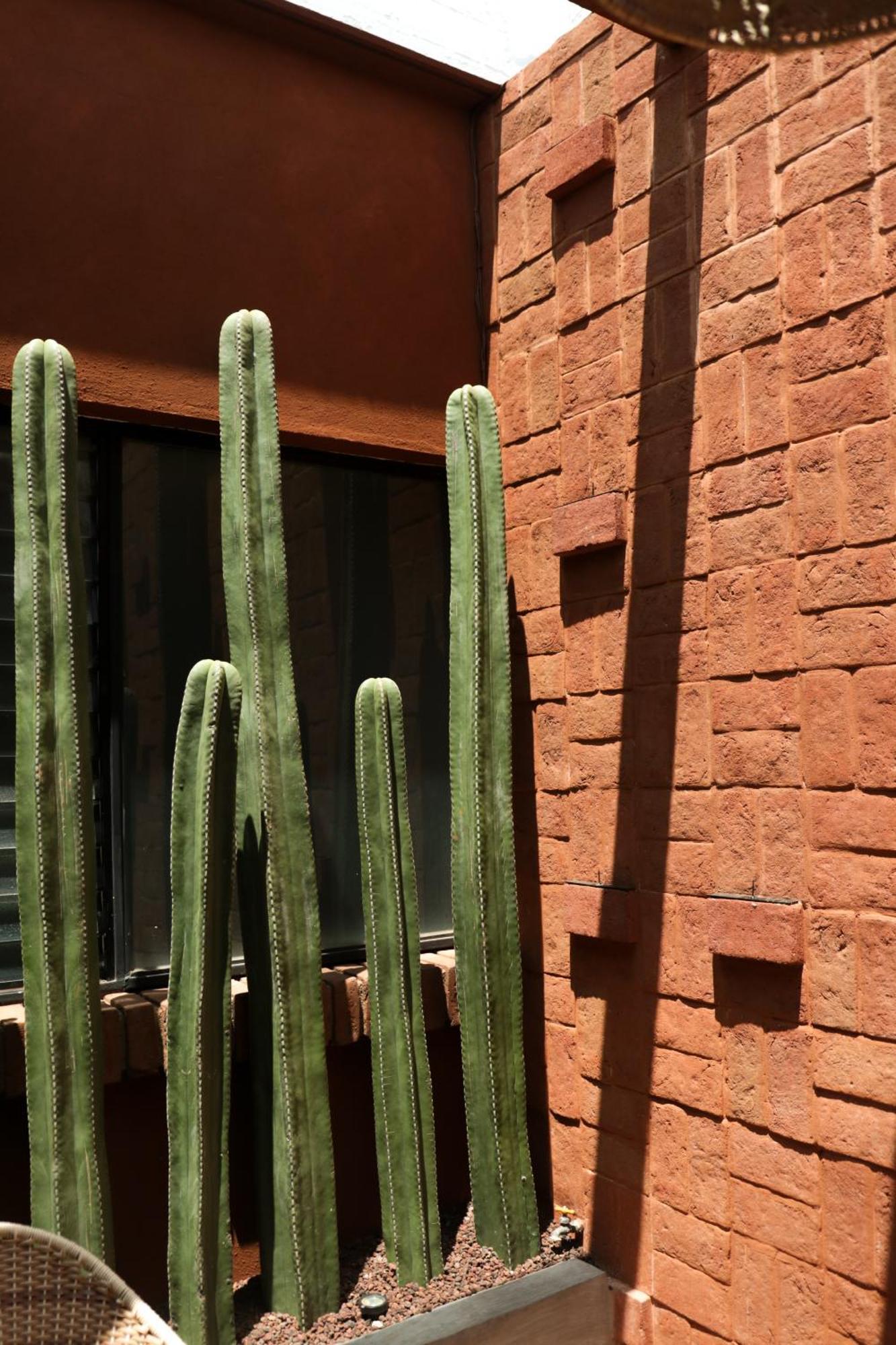 Casa Pina Close To Santo Domingo Church Oaxaca