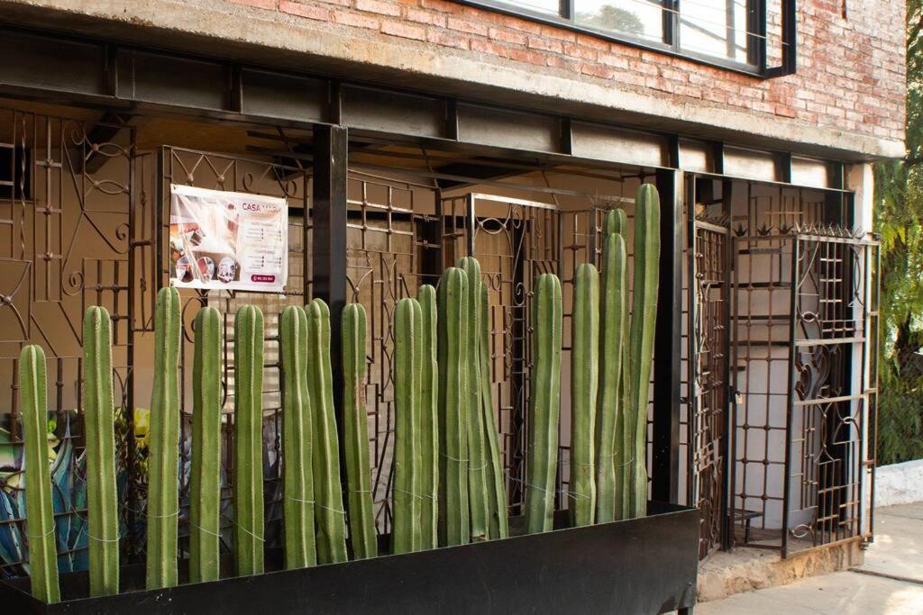 Casa Mary - Vivienda Completa *
