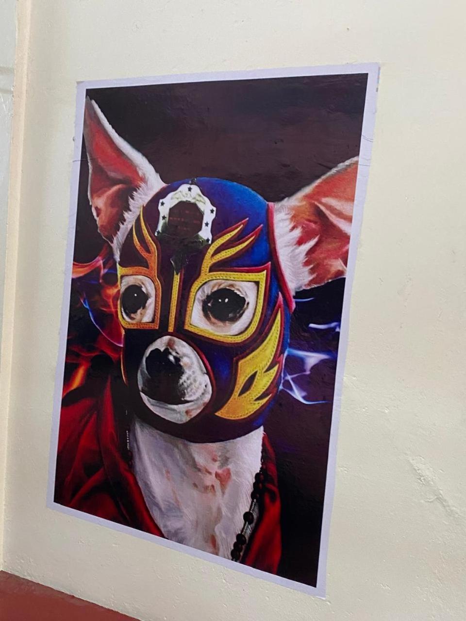 Mil Mascaras * Oaxaca
