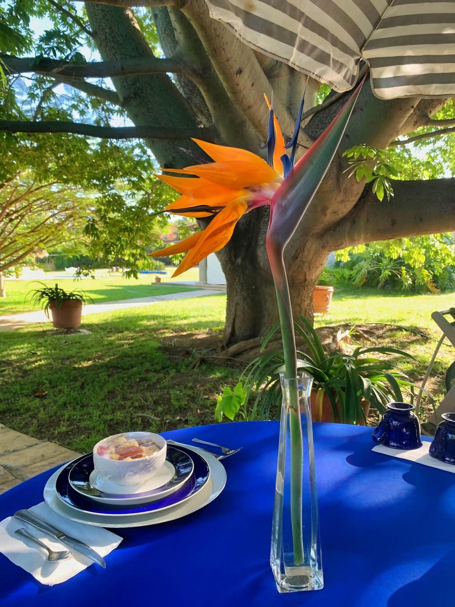 Quinta Azul