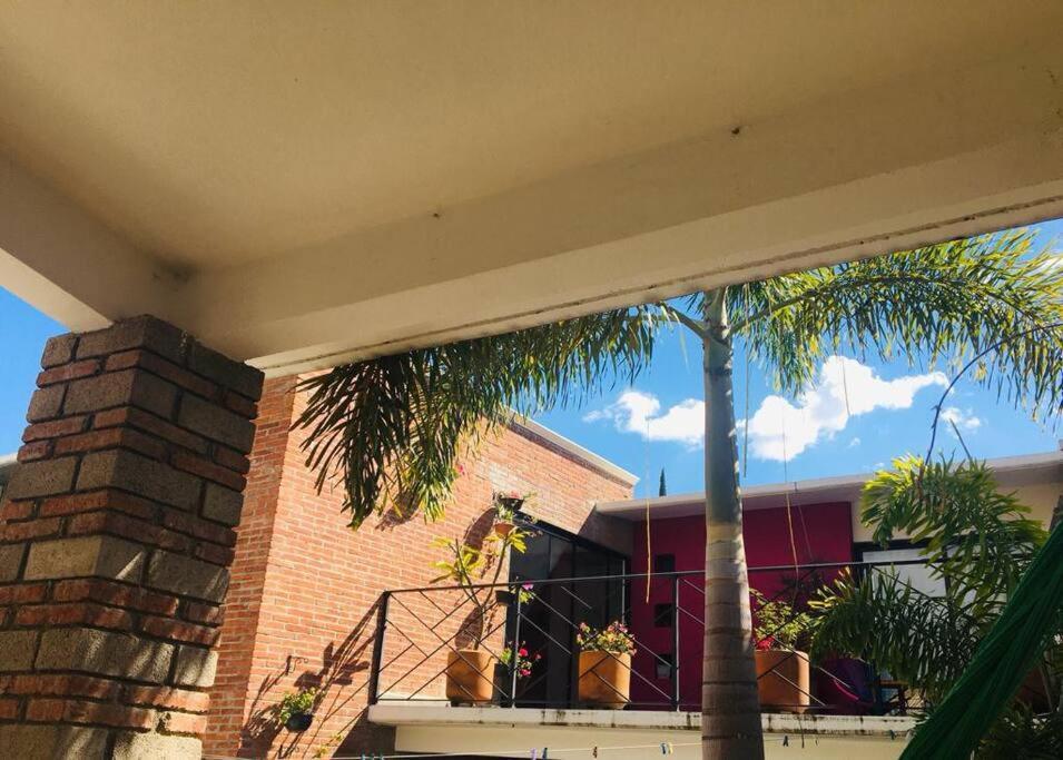 Entero Casa Tozcano Oaxaca