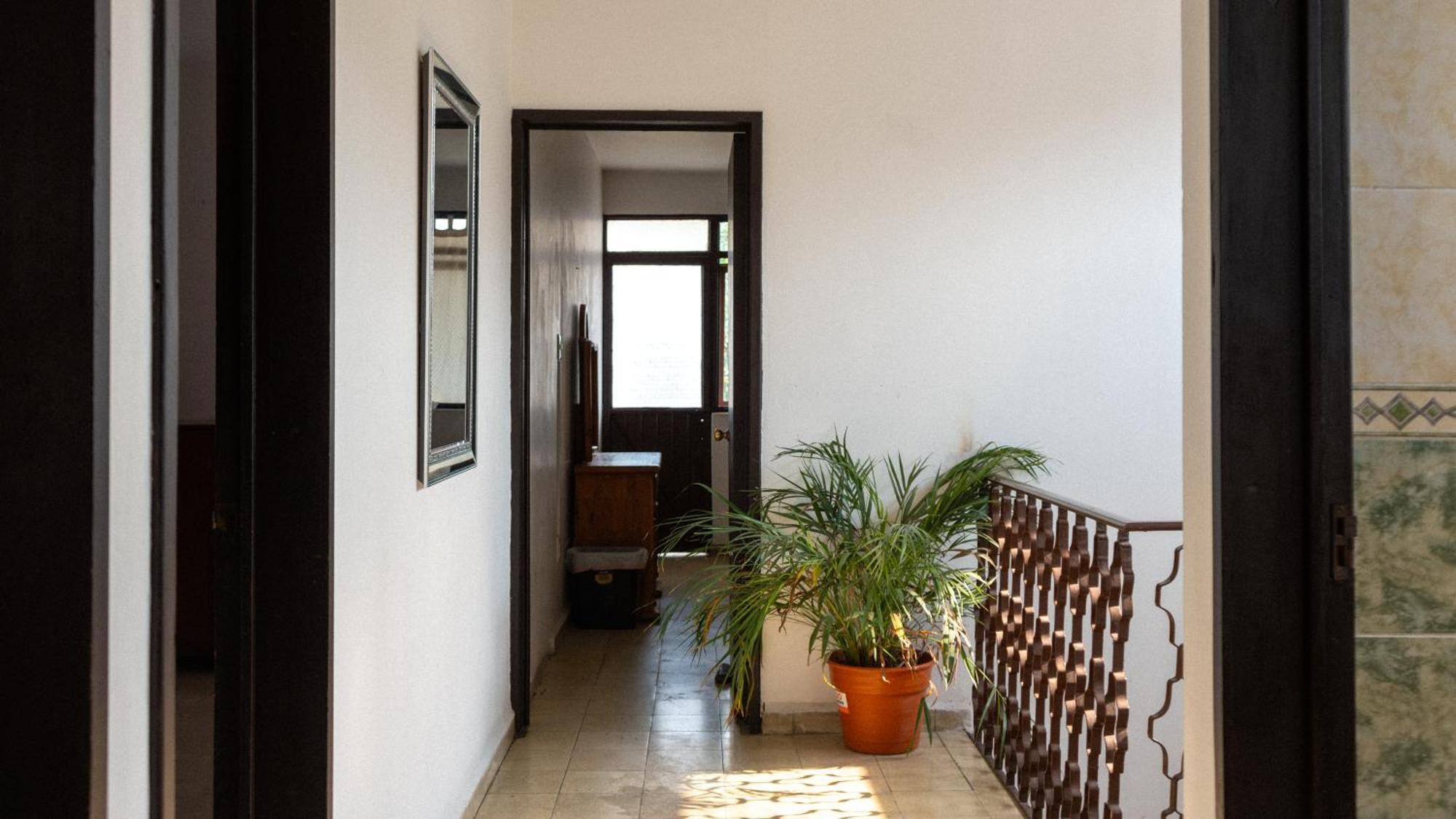 Encanto Oaxaqueno Centrico Apartamento *