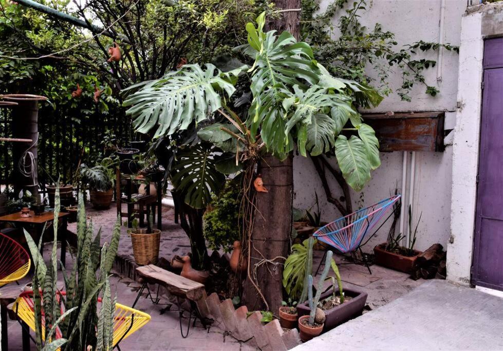 The Loft, Centro Apartamento Oaxaca