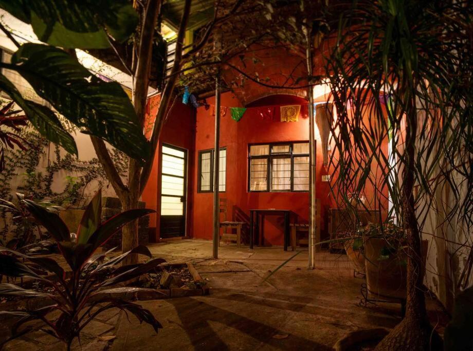 Apartamento Chill Beautiful Downtown Area Tv Good Wifi Oaxaca