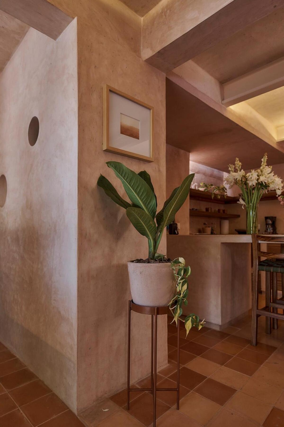 Beige Jardin Conzatti Centro Diseno Ac * Oaxaca