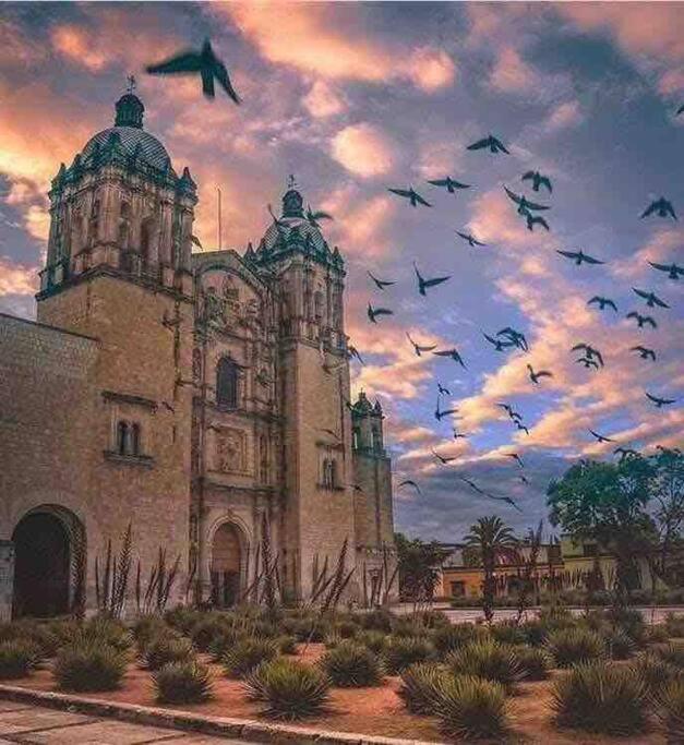 M3 At Your Doorstep! Oaxaca
