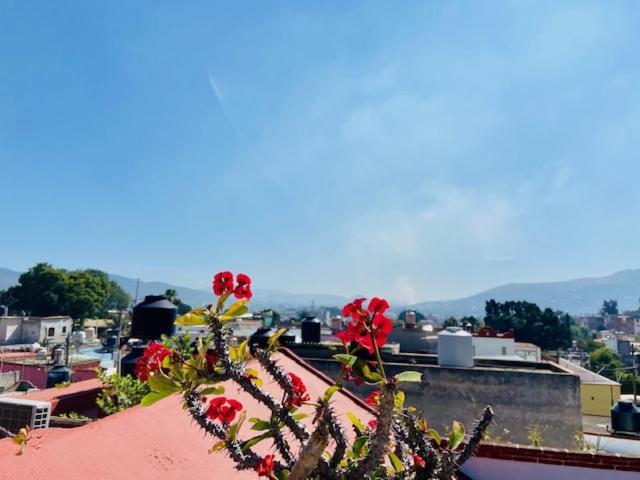 Casa Joaquin * Oaxaca