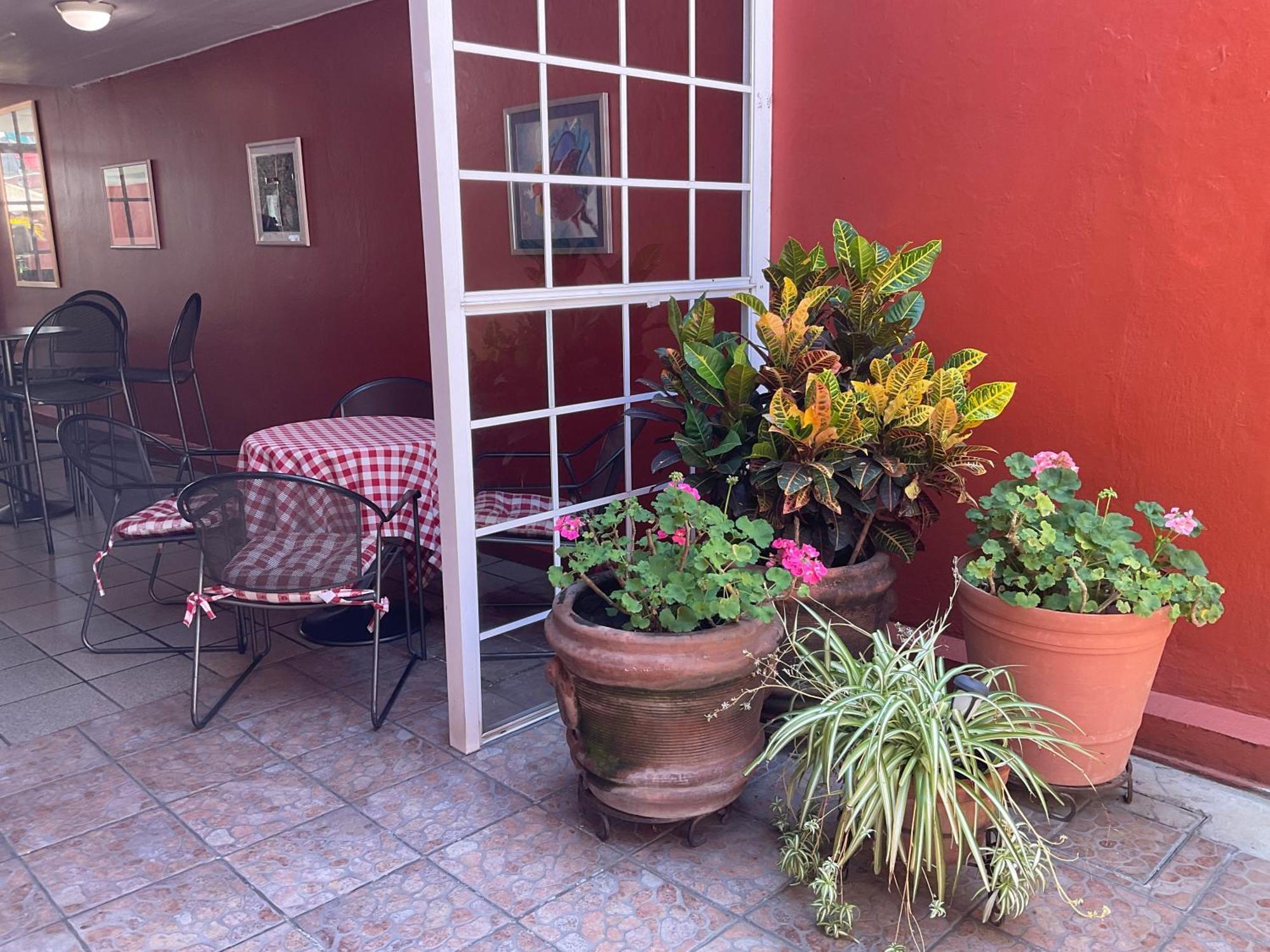Camba Oaxaca