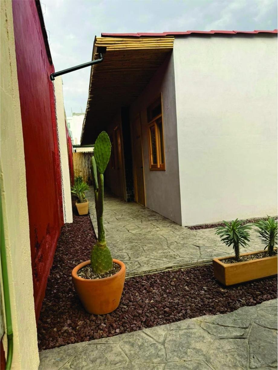Casa Canonero, A Magic Place, Tepextate * Oaxaca