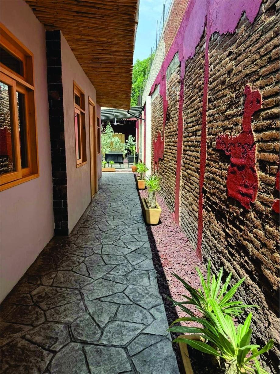 Casa Canonero, A Magic Place, Tepextate Oaxaca