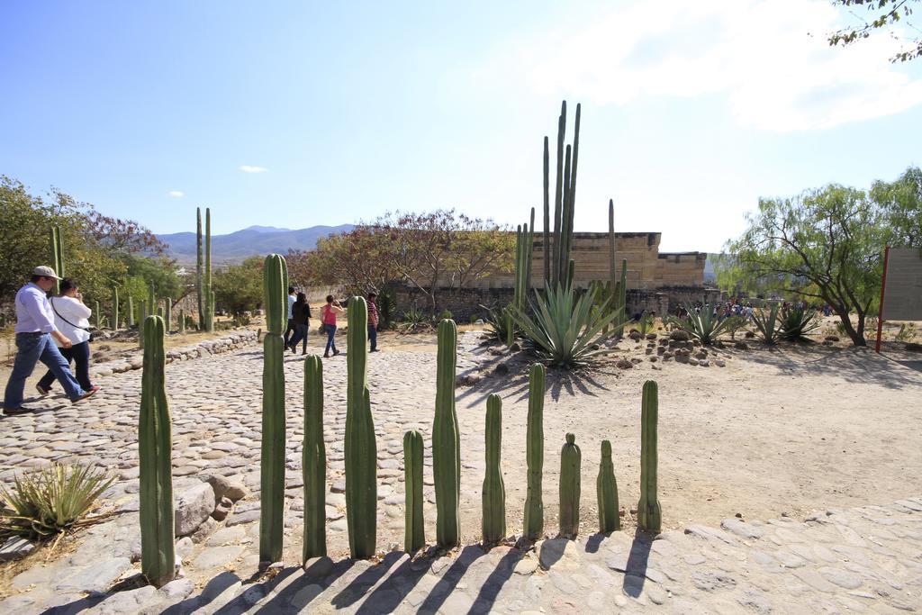 Yagul 3* Oaxaca