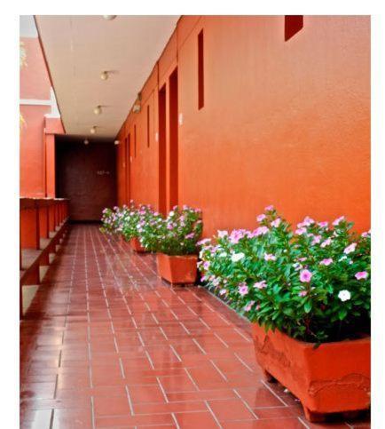 Rivera Del Angel Hotel 3*
