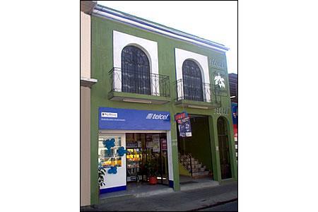 Azucena De Antequera *