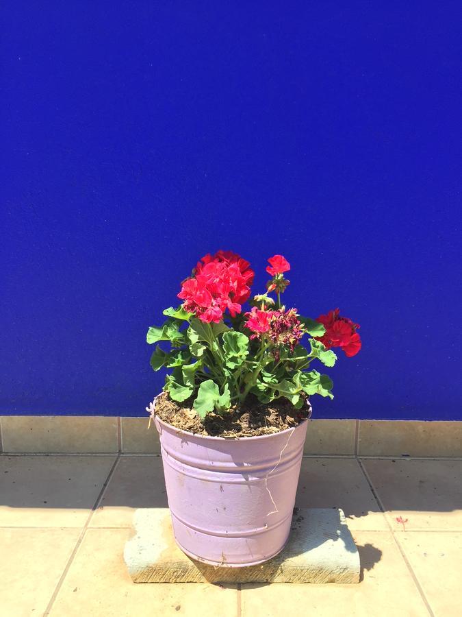 Quinta Azul Oaxaca