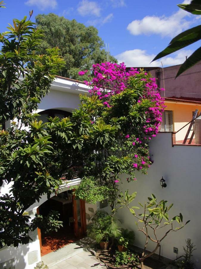 Estancia De Valencia Bed & Breakfast Oaxaca