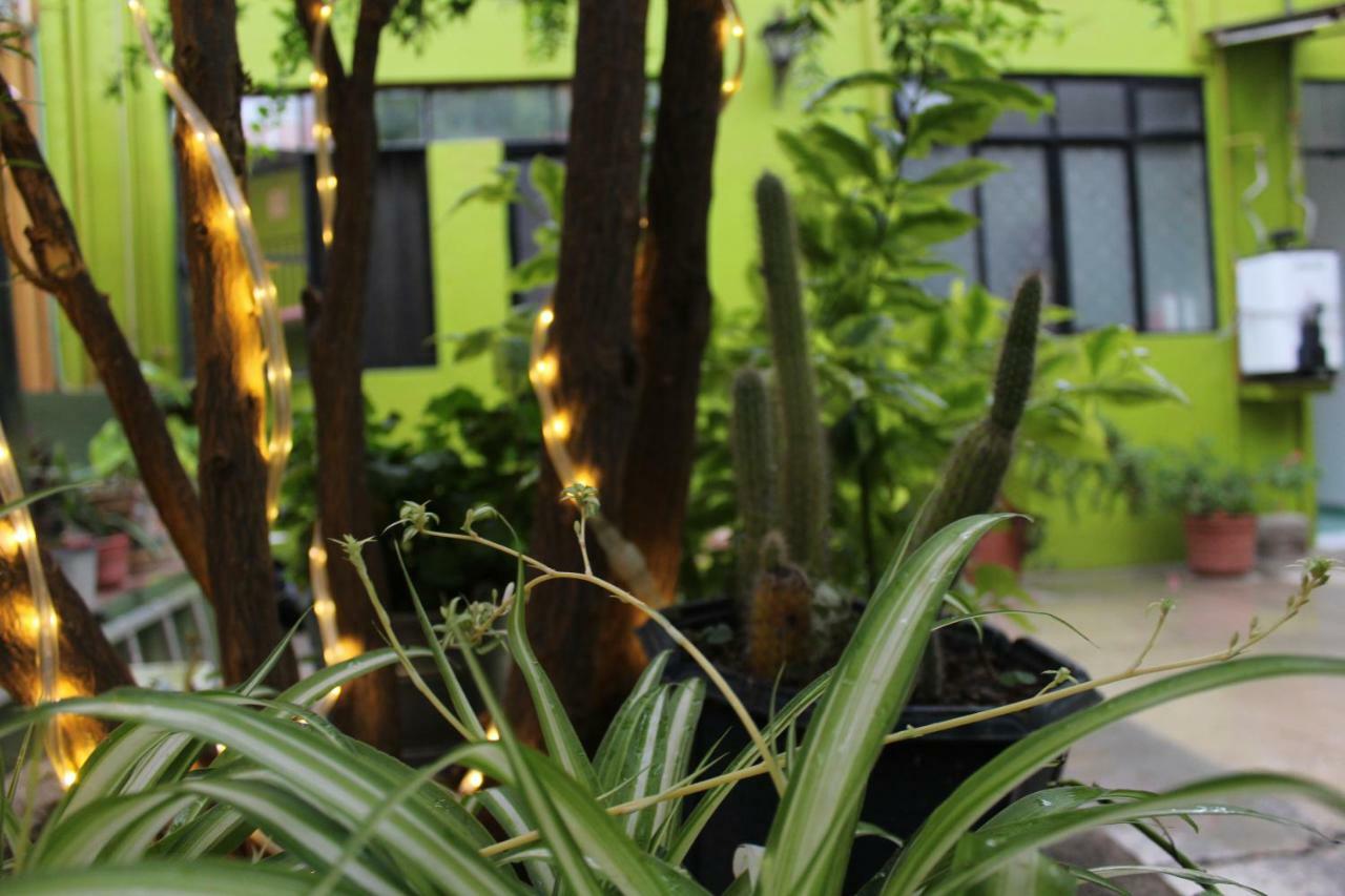 Hotel Limon Oaxaca