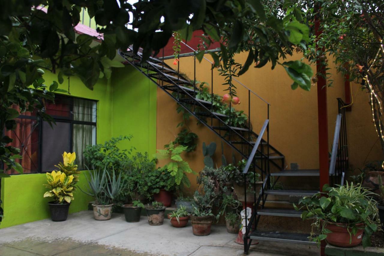 Limon Hotel