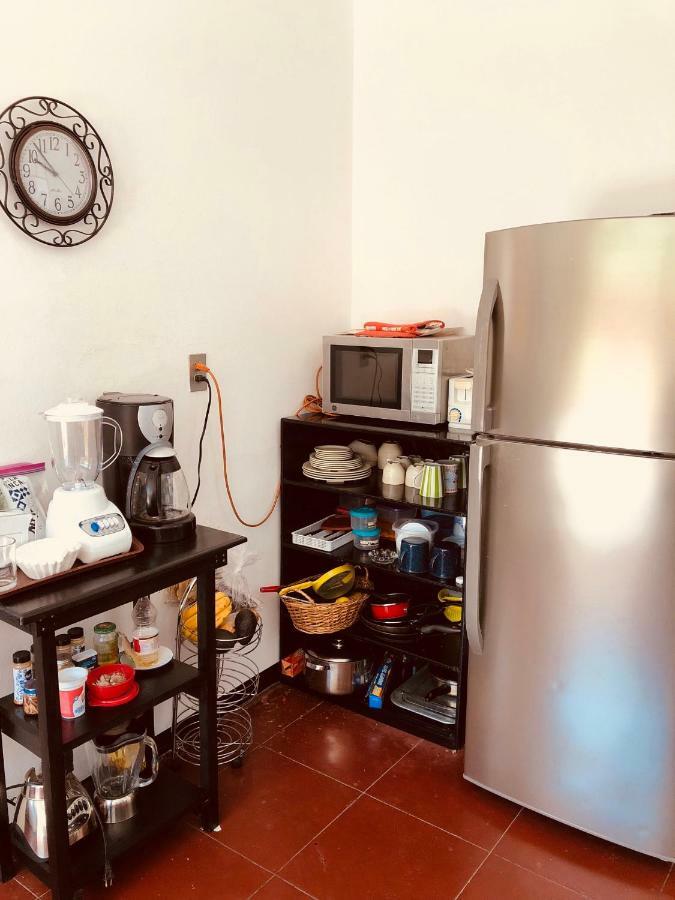 La Casa Del Pochote Pensión Oaxaca