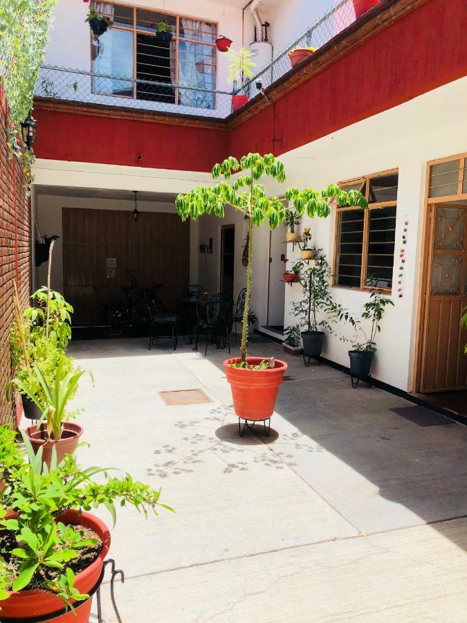La Casa Del Pochote *